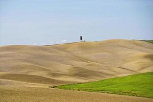 tuscany kullar landskap foto