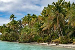 kokos träd på polynesisk tropisk paradis strand foto