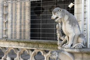 notre dame paris katedral staty skulptur och tak innan brand foto