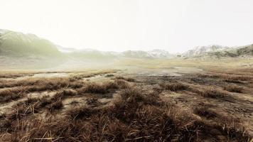 enkel med torkades gräs och berg toppar i de bakgrund foto