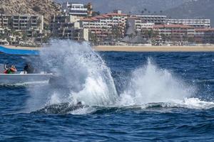 puckelrygg val svans slapping i främre av val tittar på båt i cabo san Lucas mexico foto