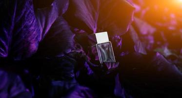 genomskinlig parfymflaska foto