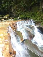 natur bakgrund Foto av vattenfall flod mossa och löv