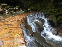 natur bakgrund Foto av vattenfall flod mossa och löv