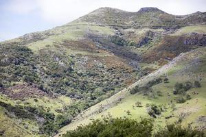 ny Zeelands akaora stad grön bergen foto