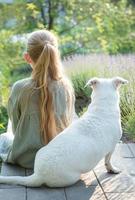 en liten flicka med en vit hund sitter och beundrar de lavendel- fält. foto