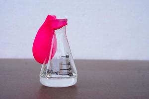 vetenskap experimentera, platt rosa ballong med Nej luft på topp av transparent testa flaska. först steg av de experimentera handla om luft eller gas reaktion.av använder sig av bakning soda och vinegar.concept, vetenskap utbildning foto
