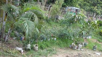 naturlig skönhet av bangladesh foto