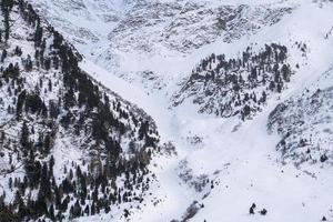snö vandring skog panorama landskap bergen av santa caterina valfurva italiensk alps i vinter- foto