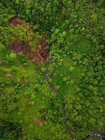 morgon- se i indonesien med grön tropisk skogar den där är skära ner förbi träd foto