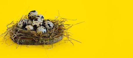 vår påsk hälsning kort med vaktel ägg i en bo på en gul bakgrund. friska mat. foto