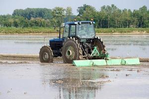 ris jordbruk traktor i Italien foto