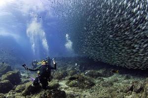 dykning dykare porträtt medan dykning inuti en skola av fisk under vattnet foto