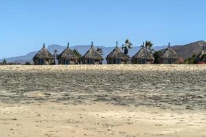 cerritos todos santos baja kalifornien sur strand foto