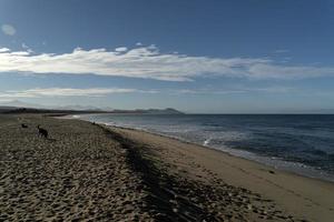 todos santos baja kalifornien strand foto