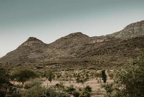 bergslandskap i Sydafrika foto