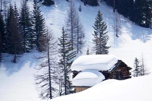 trä stuga hydda i de vinter- snö bakgrund foto