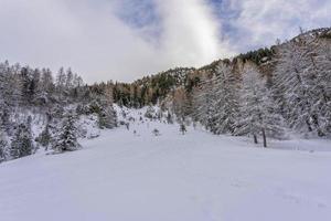 snö vandring skog panorama landskap bergen av santa caterina valfurva italiensk alps i vinter- foto