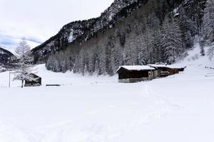 snö vandring skog panorama landskap bergen av santa caterina valfurva italiensk alps i vinter- foto