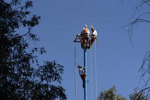 mexico stad, mexico - januari 30 2019 - de gammal dansa av flygblad los voladores foto