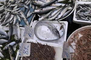 neapel gata fisk marknadsföra i spanska distrikt foto