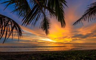 skön strand med handflatan träd. tropisk marinmålning bakgrund foto
