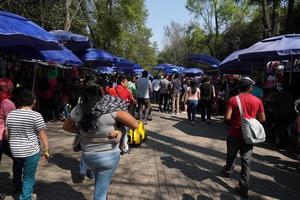 mexico stad, februari 3 2019 - stad parkera chapultepec fullt med folk av människor på söndag foto