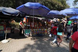 mexico stad, februari 3 2019 - stad parkera chapultepec fullt med folk av människor på söndag foto