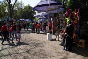 mexico stad, februari 3 2019 - stad parkera chapultepec fullt med folk av människor på söndag foto