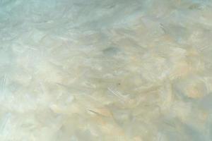 vit fjäder bakgrund textur foto