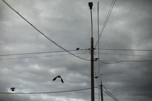 Pol med trådar på bakgrund av grå himmel. fågel flugor genom ledningar. infrastruktur i stad. foto