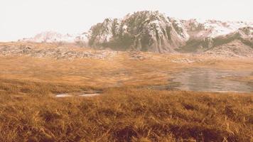 klippig öken- landskap med gles vegetation och bergen toppar foto