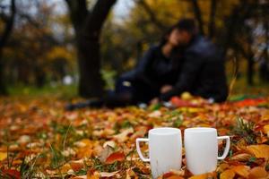 två vit porslin kopp av kaffe eller ört- te , höst falla begrepp ånga ovan par av råna stående nära på torr gul löv och grön gräs på kall landa tömma träd parkera i perspektiv foto