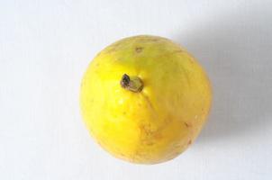 isolerat guava frukt foto