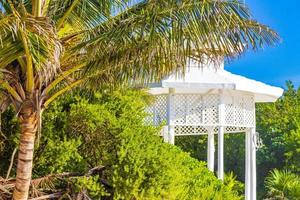 vit ädel pergula paviljong i paradis på strand palmer Mexiko. foto