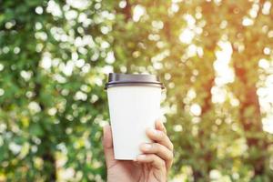 stänga upp människor ung kvinna hand innehav papper kopp av ta bort dricka kaffe på naturlig morgon- solljus Sammanträde i offentlig parkera. Plats plats för din text eller logotyp. foto