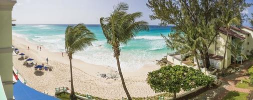 se på korall dimma strand på barbados under dagtid foto