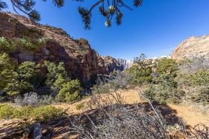 intryck från vandring spår till tall bäck kanjon förbise i de zion nationell parkera i vinter- foto