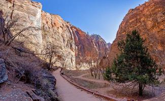 intryck från vandring spår till tall bäck kanjon förbise i de zion nationell parkera foto