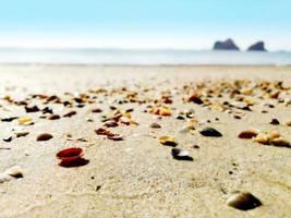 närbild sand strand med skal på suddigt bakgrund. foto