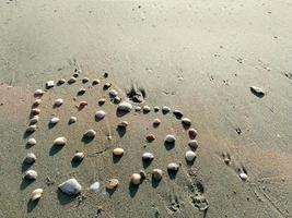 närbild hav skal göra anordnad hjärtan form på grå sand strand med Sol ljus på sommar foto