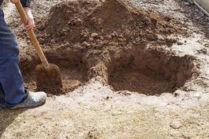 man grävning en hål för plantering en frukt träd i de trädgård foto