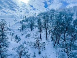 berg med träd täckt med snö foto