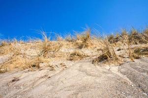 dyn på de strand av de baltic hav med dyn gräs. vit sandig strand på de kust foto