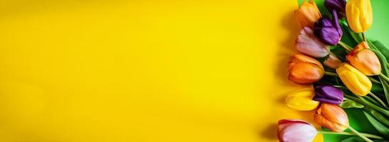 färgrik tulpaner på en gul bakgrund. topp se med en kopia av de Plats foto