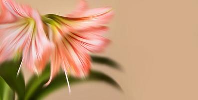 suddig amaryllis blommor foto