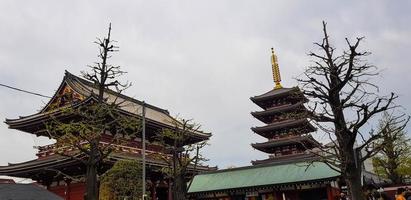 tokyo, japan i juli 2019. senso-ji är ett gammal buddist tempel belägen i asakusa, tokyo, japan. foto