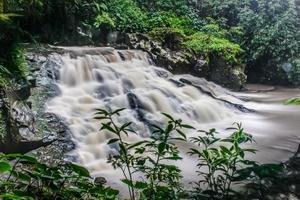 de skönhet av en mycket naturlig vattenfall landskap som heter goa ringde reng vattenfall belägen i gianyar bali. foto