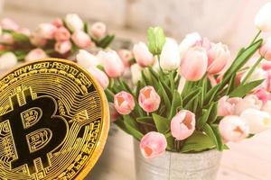 skön vår blommor tulpaner i de hinkar digital valuta fysisk bitcoin mynt foto