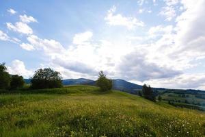 skön solig dag är i berg landskap. karpaterna, ukraina. foto